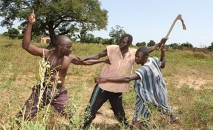 Tchad, affrontements, cultivateurs, agriculteurs