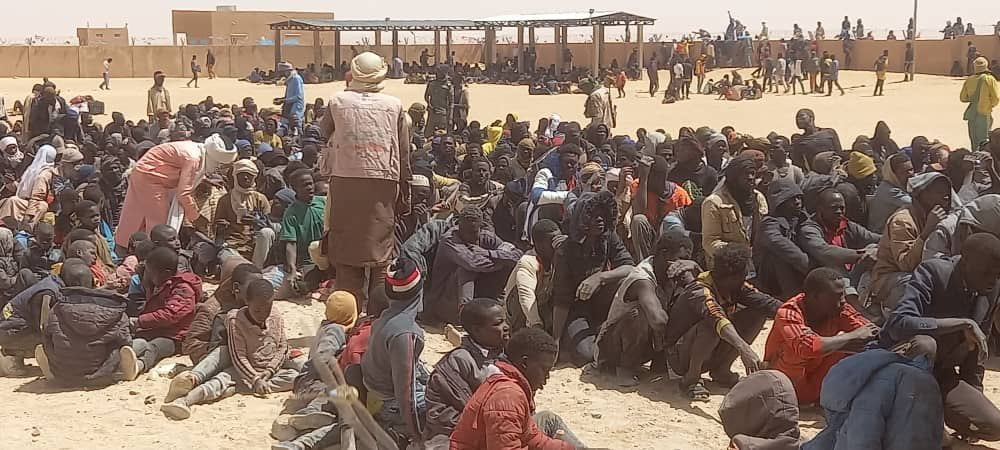 migrants expulsés dans le désert entre l'Algérie et le Niger