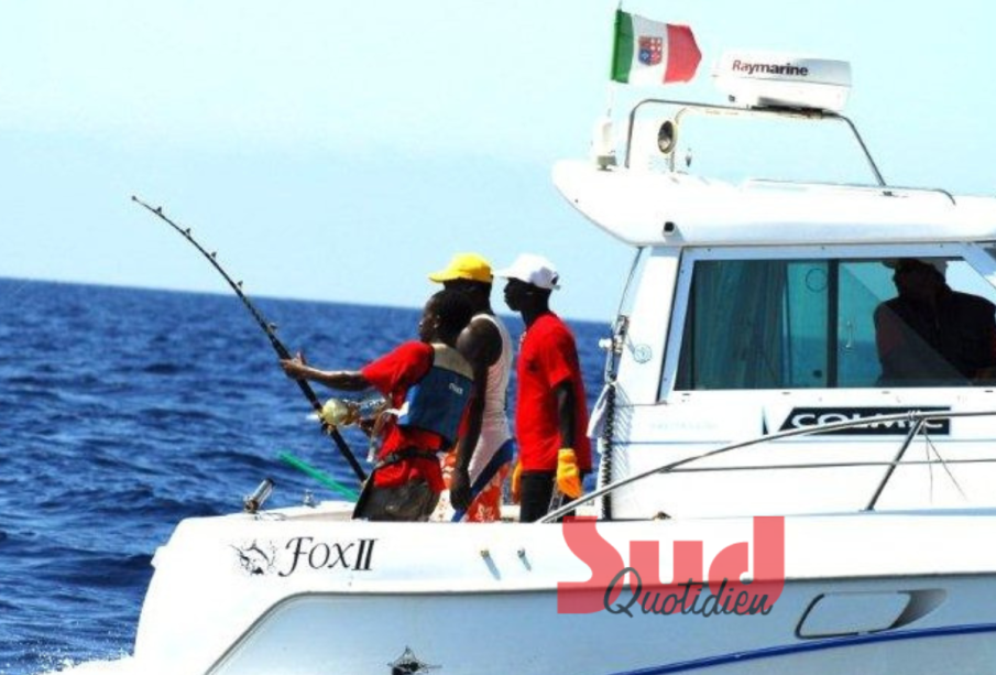 Pêche sportive, 15 nations à la pêche du gros poisson à Dakar