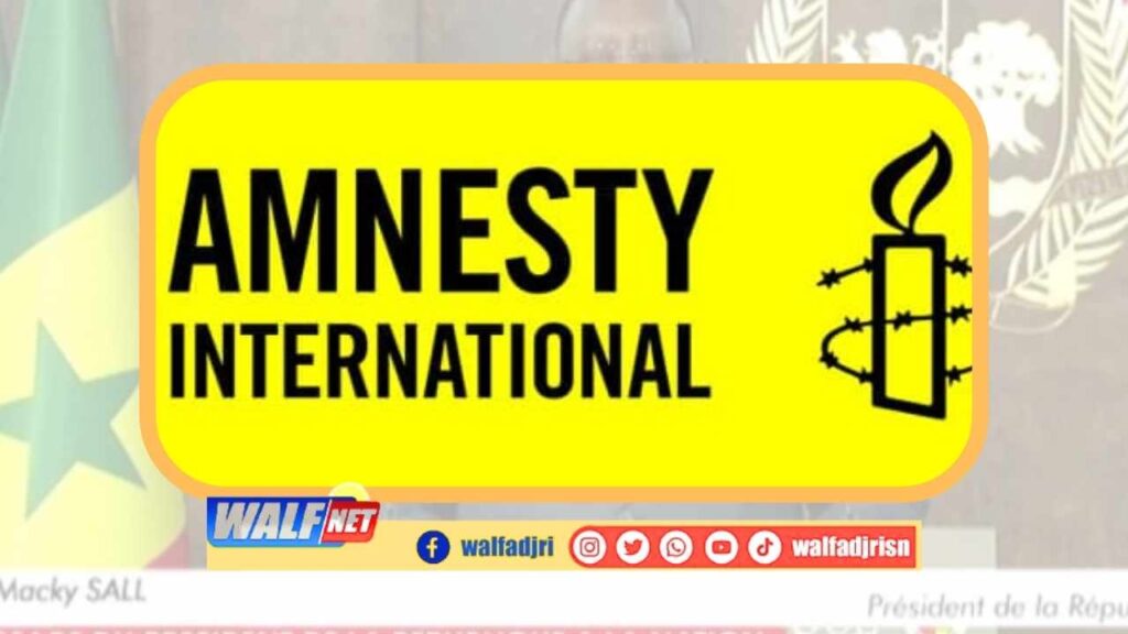 Amnesty international 'insurge contre les violences