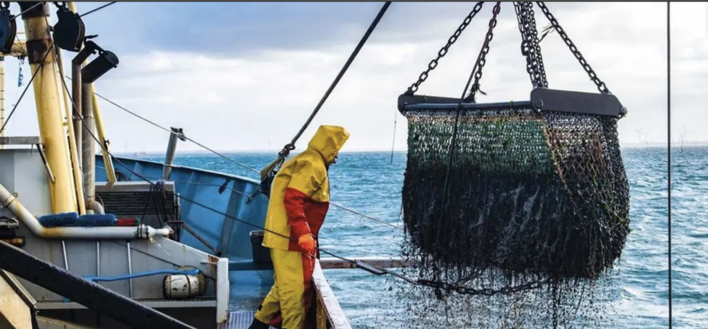 24 navires arraisonnés pour pêche illégale