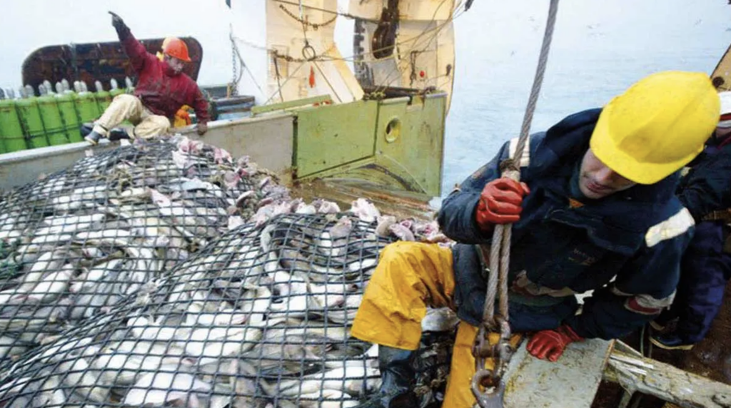 L’Afrique de l’Ouest, théâtre de la pêche minotière mondiale