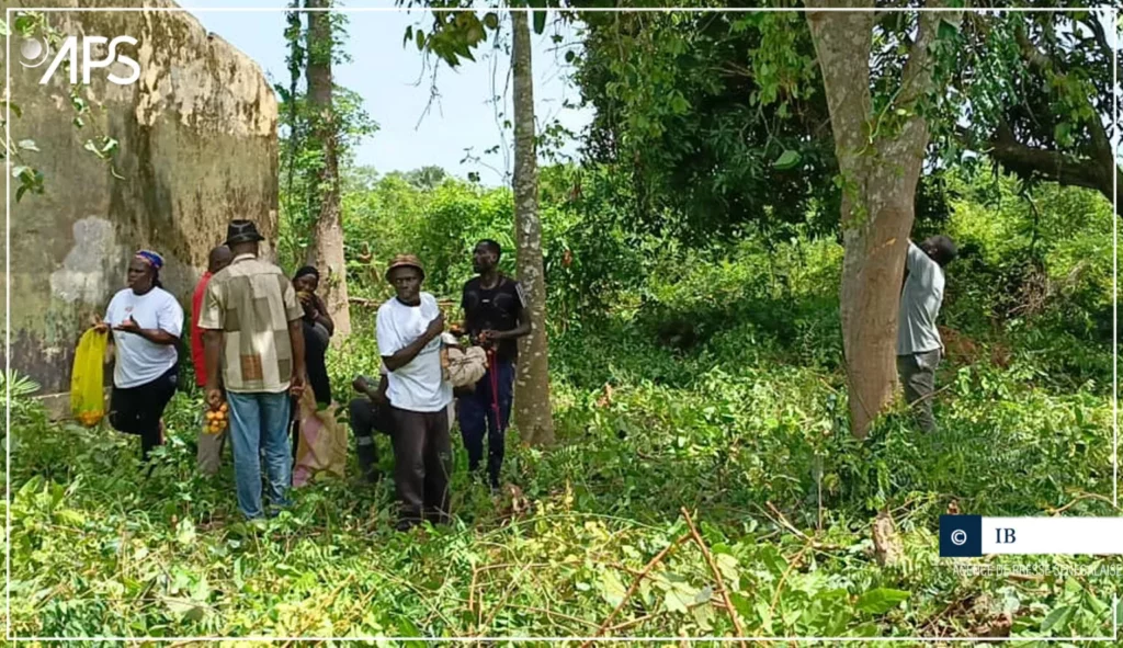 Santhiaba Mandjack, vers un retour au bercail