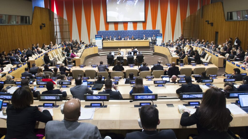 Ecosoc Onu en assemblée générale