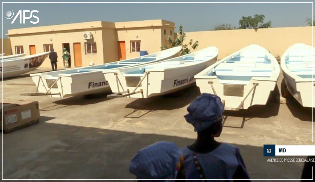 DER FJ pirogue en fibre de verre